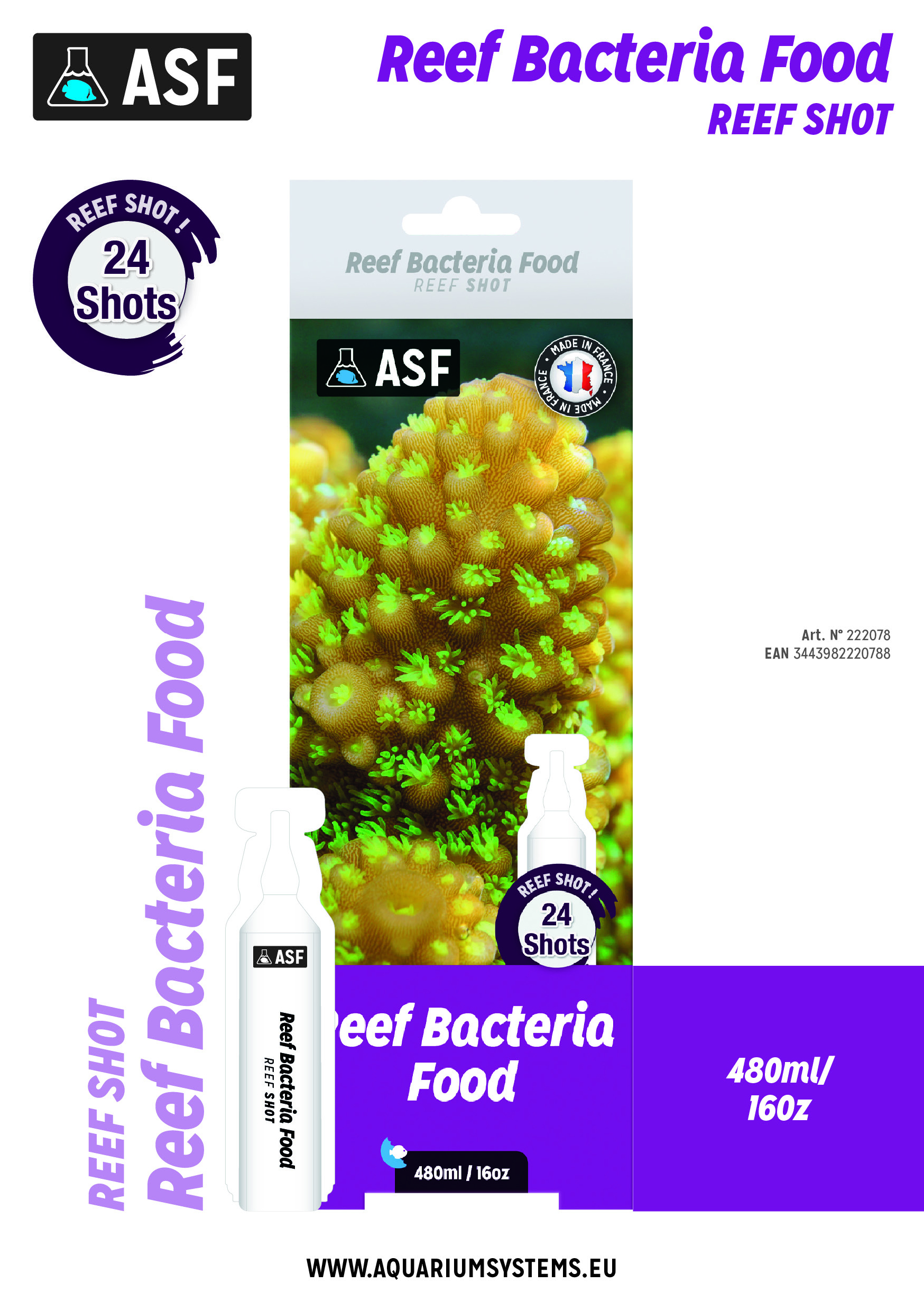 Bacteria Food