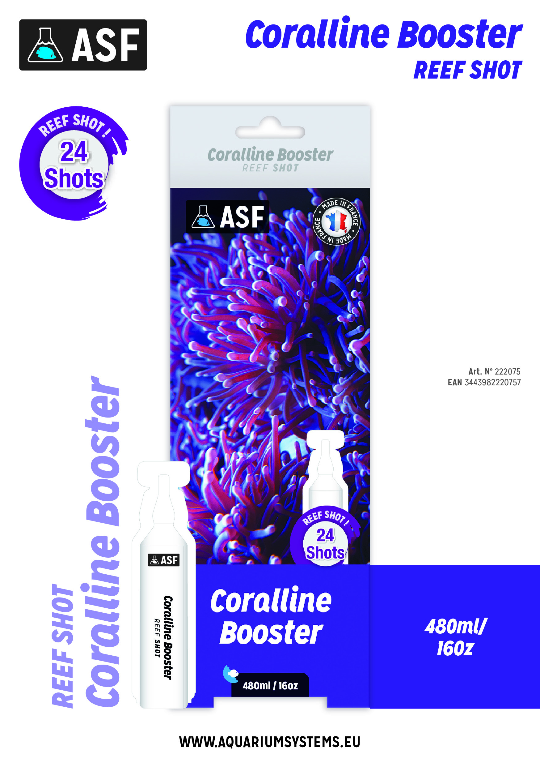 Coralline1